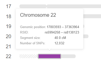 Steven and Jenny MyHeritage chromosome 22 match
