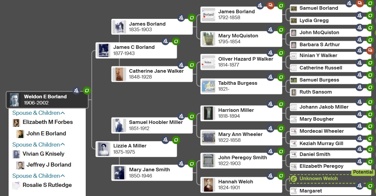 Weldon Borland's Family Tree